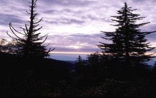 Samples Of Our Commercial Photographs